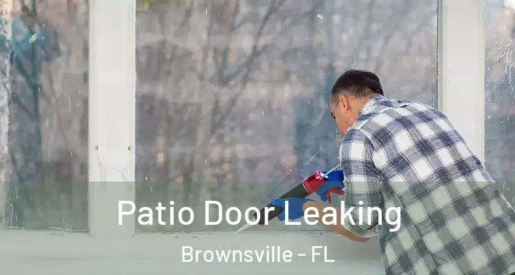  Patio Door Leaking Brownsville - FL