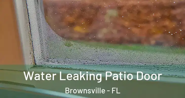  Water Leaking Patio Door Brownsville - FL